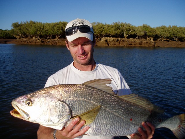 Port Hedland Croaker